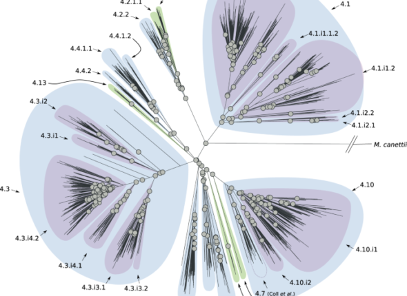 41467_2021_26248_Fig4_HTML